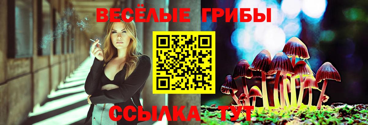 Краснознаменск  Псилоцибиновые грибы Magic Shrooms  Вход с VPN 