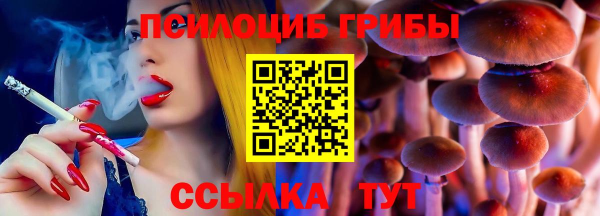 Галлюциногенные грибы прущие грибы Краснознаменск