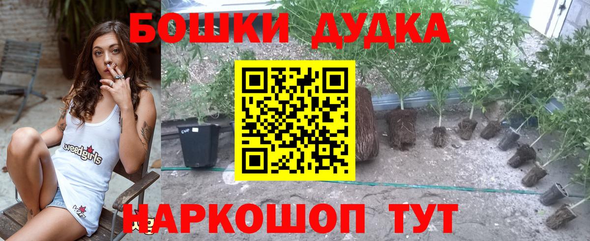 Бошки Шишки MAZAR Краснознаменск